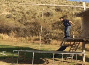ouch,funny,lol,fail,fall,why,swing,trampoline,rope,afv,rope swing