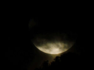 full moon,moon,original,original photography,rising moon