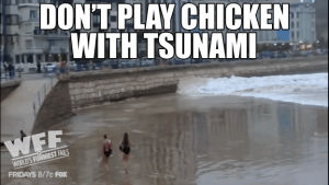 tsunami,chicken,fails,funniest,wff,worlds