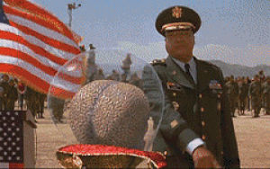 mars attacks,movies,alien,flag in wing,general casey,paul winfield,military man