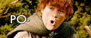 hobbit,lord of the rings,potatoes,the lord of the rings,samwise