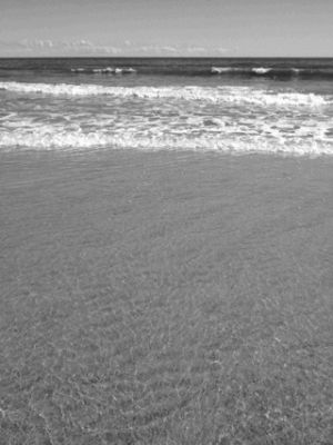 own,ocean,black and white,nature,water,bw