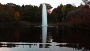 perfect loop,fountain,water,nature,cinemagraph,park,cinemagraphs,living stills