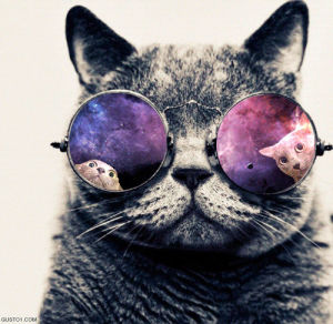 psychedelic,psychedelics,trippy,tripping,cat,drugs