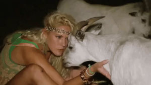 kiss,goat,party down south,goats,kiss couple love,couples kissing