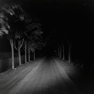 night,road,tree