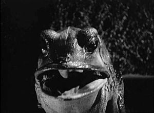 frog,suicide,thick of it,vintage horror,gothic horror,toad,rhetthammersmith,international haus of horrors,monster movie,1950s horror,songfic,going wild,francoise gamma