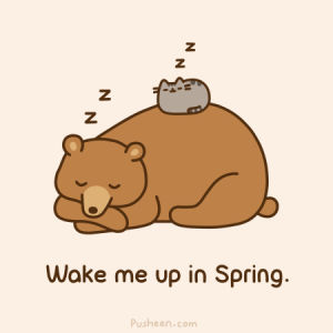 sleeping,pusheen,winter,pusheen the cat,cat,illustration,bear