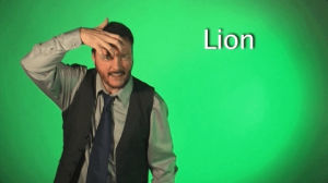 sign with robert,sign language,lion,deaf,american sign language,swr