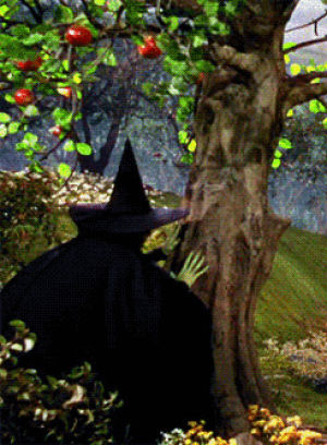 wicked witch of the west,wizard of oz,margaret hamilton,mgm