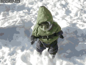 monkey,snow,winter,animals,cute,jacket,dives into snowbank,wearing winter suit