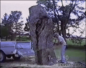 truck,fail,tree