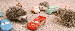 hedgehog,car,cars,animals,cute,pixar,toys