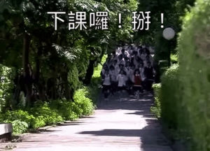 taiwan,run,bye,taiwanese drama,schools out