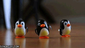toys,cute,puppies,penguins