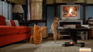 garfield,cat dance,cat dancing,cat,dance,garfield movie