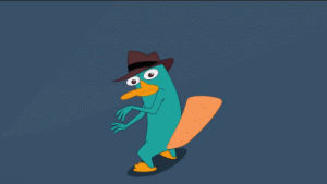 platypus,images,perry