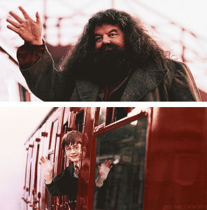 goodbye,harry potter,hogwarts express,train,wave,hp,requested,request completed