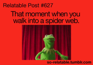 relatable post,scared,red,act,kermit the frog,spider web