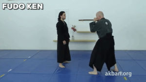 mma,martial arts,krav maga,instructional,kata,ninjutsu,taijutsu,budo,akban,traditional mma