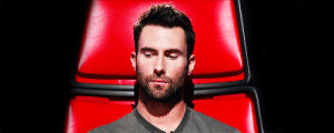 interested,intrigued,confused,maroon 5,adam levine