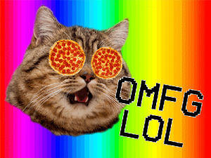 cat,lol,pizza,rainbow,omfg