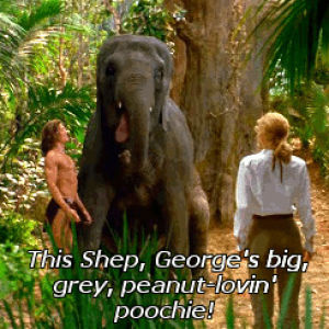 george of the jungle,movie,disney,elephant,brendan fraiser