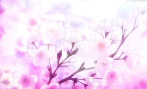 sakura,cherry blossom,anime
