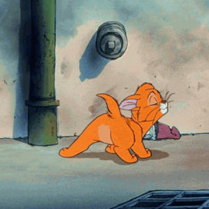 oliver and company,kitty cat,oliver,cat dance,disney,cat,cute,kitten,kitty,aww,moves,shake it