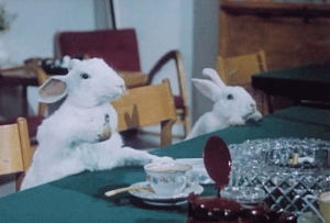 rabbit,weird,psychedelic,smoke,white,smoking,strange,cup of tea