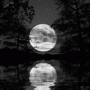 night,moonlight,moon,lake