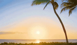 hawaii,sunset,aulani,disney aulani,hawaii sunset