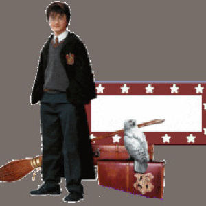 birthday,hedwig,transparent,animation,happy,photobucket,images,pictures,photos,harry,magic,animations,emoticon,sign,potter,emoticons,magical,quidditch,harry potter birthday,snitch,deathly,hallow
