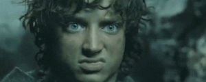 the hobbit,gross,hobbit,what,the lord of the rings