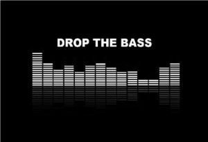 bass,skrillex,music,drop