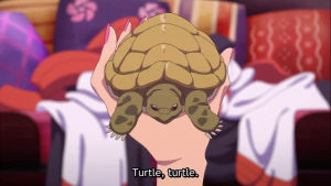 turtle,punchline,anime