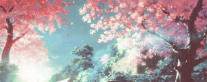 sakura,cherry blossum tree,tree,anime,nature