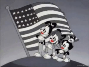 fourth of july,90s,america,flag,animaniacs
