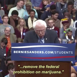 bernie sanders,420,politics,omg,weed,marijuana,oh shit