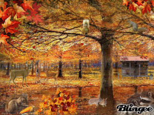 GIF the fall - animated GIF on GIFER