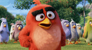 angry birds,movie,angry,red,what,birds,shot,anger,shoot,pigs,the angry birds movie,repas japonais