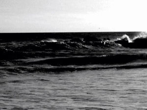 wave,own,ocean,black and white,nature