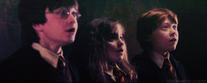 harry potter,golden trio,rupert grint,the golden trio,emma watson,daniel radcliffe,deathly hallows,potter,harry potter and the chamber of secrets,pottermore,potterheads,deathly hallows part 2,harry potter cast