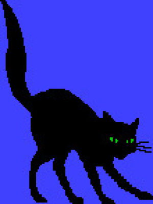 black cat,transparent