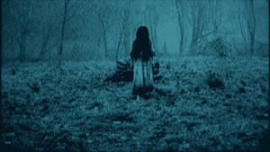 the ring,movies,movie,horror,scary,ring,woods