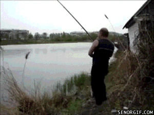 fishing,cat,theft