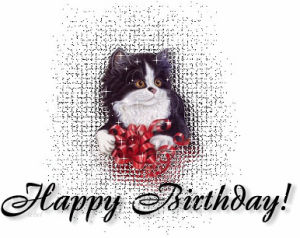 happy birthday,glitter birthday,kitty,birthday,cat birthday