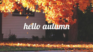 images,hello,fall