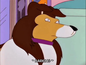 dog,bart simpson,season 8,episode 20,tired,majestic,pulling,8x20,laddie