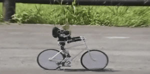 robot,bicycle